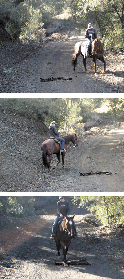 The oddest things can upset a horse, as those familiar with horses know.  These photos illustrate Amber handling this common trailriding problem in minutes, using appropriate training skills.    1. No way, you’re not getting me near it! 2. Well, maybe it’s not so bad. 3. What was all the fuss about?